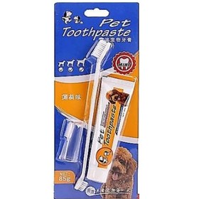 تصویر ست مسواک و خمیر دندان سگ و گربه Pet Toothpaste