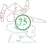 تصویر الگوی سوتین سایز 75 