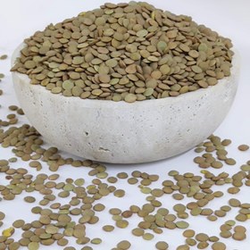 تصویر عدس درشت 