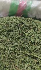 تصویر ترخون اعلا tarkhon