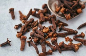 تصویر میخک ۲۵ گرمی عطاری دیسکورید 