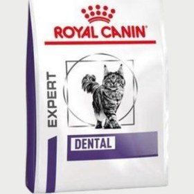 تصویر غذای خشک گربه دنتال رویال کنین (Royal Canin Cat Dental) وزن ۱.۵ کیلوگرم 