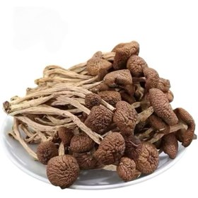 تصویر قارچ شیتاکه 25 گرمی بلند 