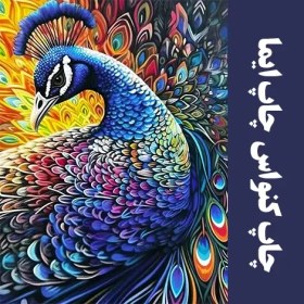 تصویر پلات رنگی کاغذ کنواس 