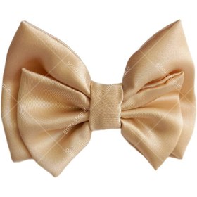 تصویر گیره پاپیون ساتن 