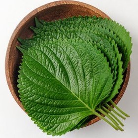 تصویر برگ کنجد 