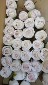 تصویر سر گل پارچه ای - سفید 