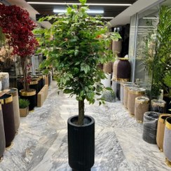 تصویر درختچه بنجامین مصنوعی 