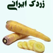 تصویر زردک ایرانی 