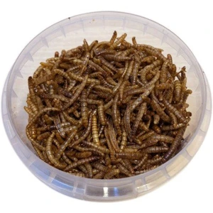 تصویر فروشگاه پتشاپ ژوپت