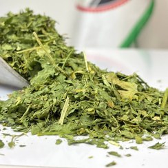 تصویر جعفری خشک 