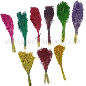 تصویر گل خشک مدل سبزه ریزه 