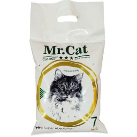 تصویر خاک بچه گربه و گربه بالغ مستر کت MR CAT 