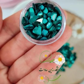 تصویر خورده صدف کله غازی 