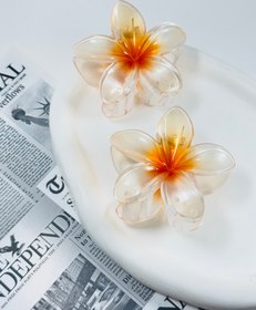 تصویر کلیپس پلومریای شفاف - بنفش 