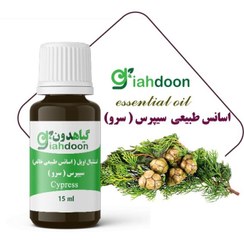 تصویر اسنشیال اویل سرو ( سیپرس) 