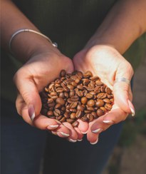 تصویر قهوه برزیل ریو عربیکا - دانه قهوه / ۵۰۰گرم 