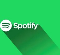 تصویر گیفت کارت اسپاتیفای هند - 12 ماه 