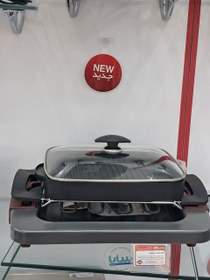 تصویر گریل وکباب پز بریاجی 