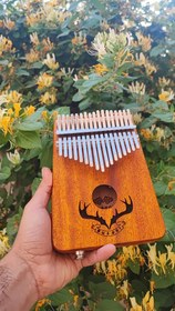 تصویر کالیمبا موسپر قهوه ای پیکاپ دار 