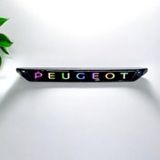 تصویر ورد پلیت سپر جلو خودرو چیکال مدل چراغ دار کد P-2077 مناسب برای پژو 207 