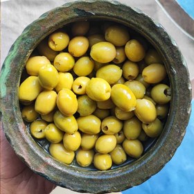 تصویر زیتون بی هسته (نیم کیلو) 