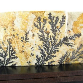 تصویر سنگ شجر فسیلی (دندریتی ) کد 2344 