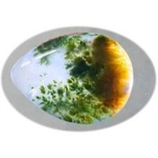 تصویر سنگ شجر دریایی مدل S46 