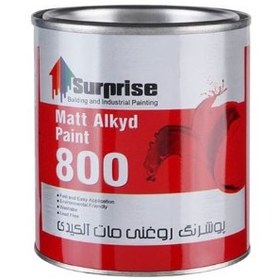 تصویر رنگ روغنی سفید مات 1 کیلوگرم سورپرایز | surprisepaints flat white paint 1 kg کد 800 