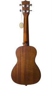 تصویر یوکللی جکو GECKO 