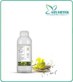 تصویر روغن کلزا 