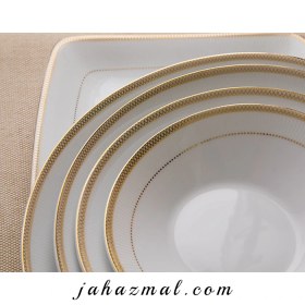 تصویر سرویس چینی زرین 6 نفره غذاخوری سپینود (30 پارچه) Zarin Iran Vinci Sepinood 30 Pieces Porcelain Dinnerware Set