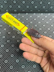 تصویر آدامس شوخی سرکاری 