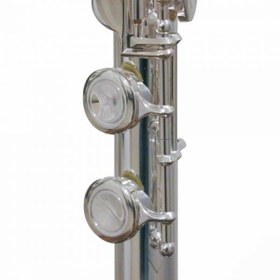 تصویر فلوت کلیددار سوزوکی 