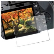 تصویر محافظ صفحه نمایش دوربین کانن 6D Mark II Canon 6D Mark II LCD Protector