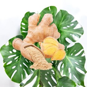 تصویر پودر زنجبیل 