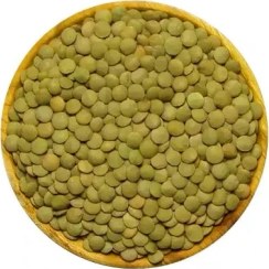 تصویر عدس ریز درجه یک ۱ کیلوگرم 
