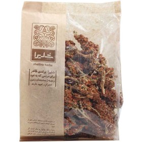 تصویر سماق خوشه ای 