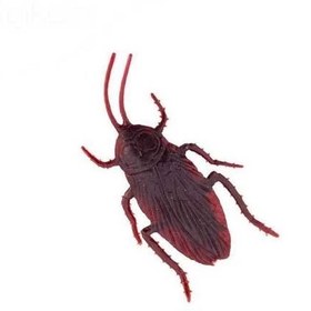 تصویر سوسک شوخی پلاستیکی 