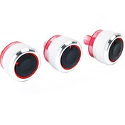 تصویر دکمه تریپ نقره ای پژو ۲۰۶ 