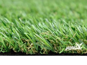 تصویر چمن مصنوعی 25 میلیمتری مدل رویال آسیا چمن ا Artificial Grass 25 mm AsiaChaman Artificial Grass 25 mm AsiaChaman