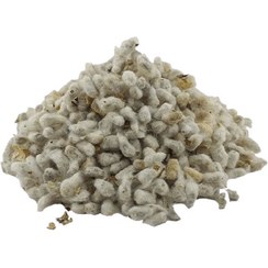 تصویر پنبه دانه فله ای مناسب خوراکی و کشت 