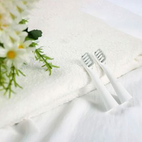 تصویر سری یدک مسواک برقی شیائومی مدل Bomidi T501 بسته ۲ عددی 