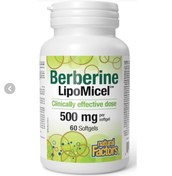 تصویر قرص بربرین ۵۰۰ میلی‌گرم ۶۰ عددی سافت‌ژل 