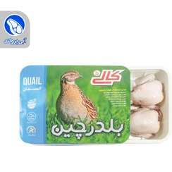تصویر بلدرچین منجمد 