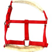 تصویر کله گیر خز دار اسب برزنتی 