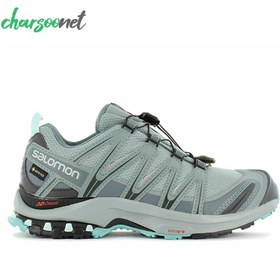 تصویر کفش کوهنوردی سالومون Salomon Xa PRO 3D GTX 