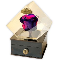 تصویر باکس تندیسی جاودان بدون شکلات 