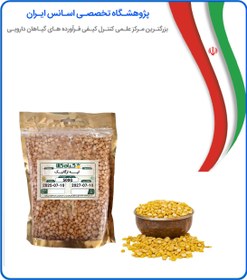 تصویر لپه ارگانیک 