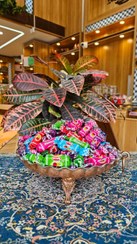 تصویر لواشک مجلسی همپا 